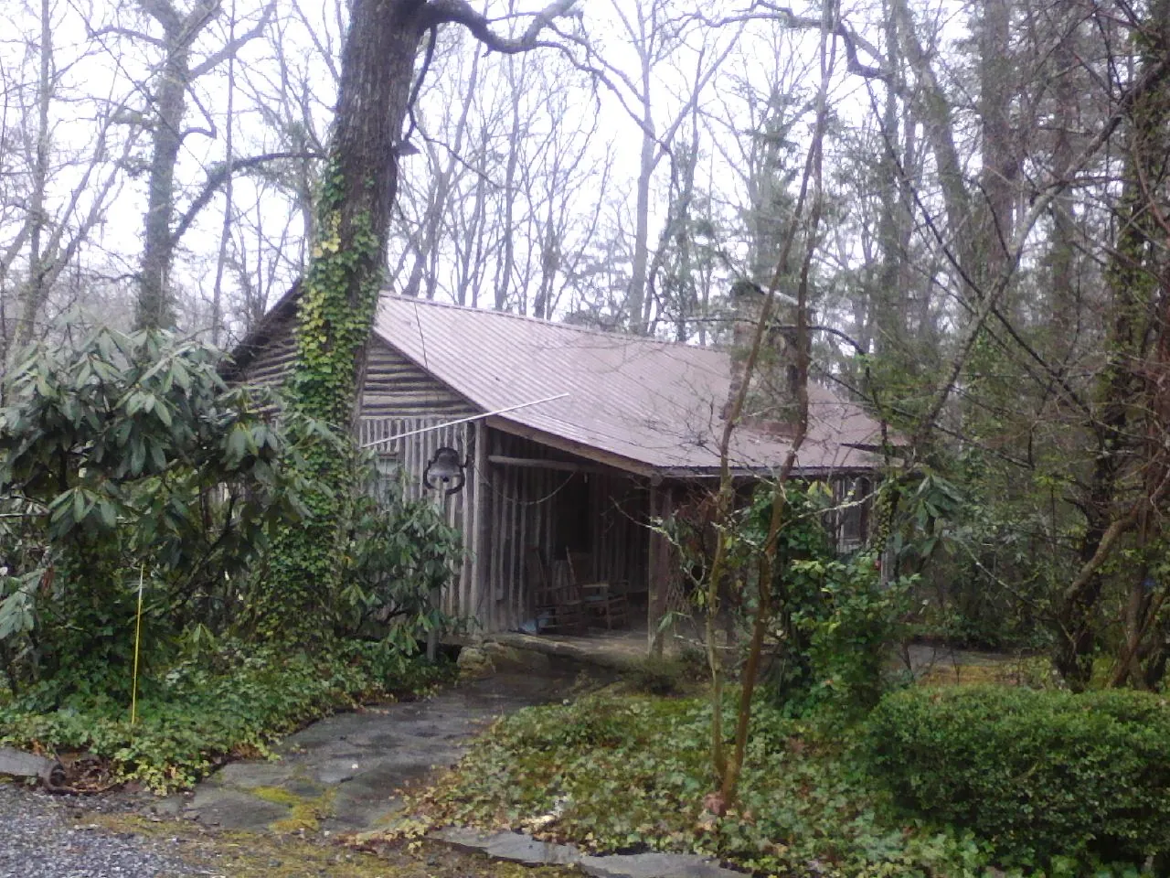 Weathered metal roof on an old board sided cabin in the woods in Calypso